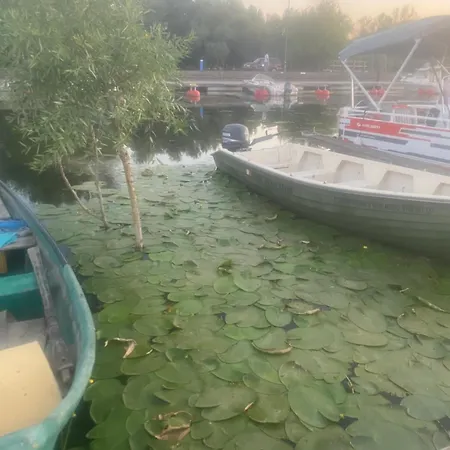 아파트 Casa Tanase *