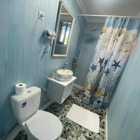شقة Casa Tanase *