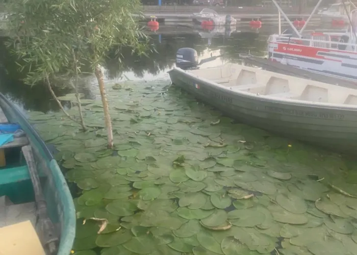 Apartamento Casa Tanase *